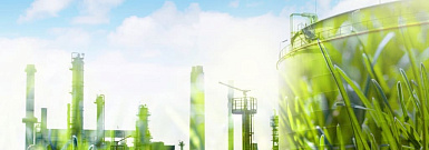 РБК+: «МСБ только начинает включаться в повестку устойчивого развития»